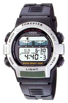 Casio Collection FT-200W-1V